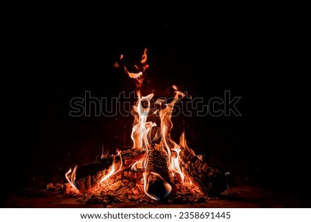 Fireplace with burning wood at night