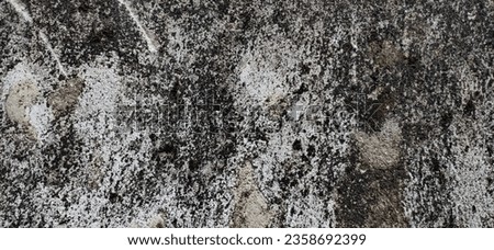 photo of the rough surface of an old, dirty and mossy concrete wall is perfect for an abstract background according to your needs.
