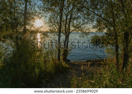 Sunset on the shore of Lake Constance in the Rhine Valley, Vorarlberg, Austria. sun is reflected in the water, framed by reeds and trees. Evening red, with red and orange clouds. recreation afternoon Royalty-Free Stock Photo #2358699029