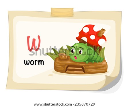animal alphabet letter W for worm illustration vector