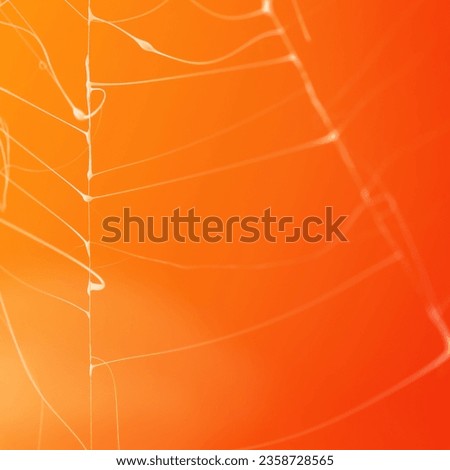 Halloween background with spider web. Happy Halloween concept. Frame.