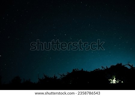 Tree in the starry sky on a cloudless night. Silhouette Trees Against Sky At Night