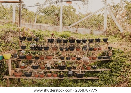 succulent pots on a rustic shelf
