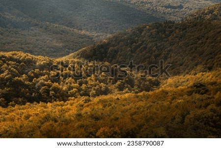 Autumn forest in the mountains. Sunlight shining at the clolorful woods in the fall. Royalty-Free Stock Photo #2358790087