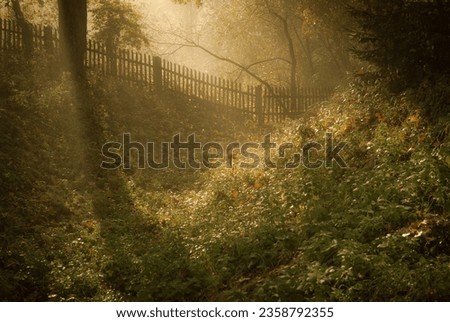Moody autumn countryside. Morning sun shining in a mysterious garden. Royalty-Free Stock Photo #2358792355