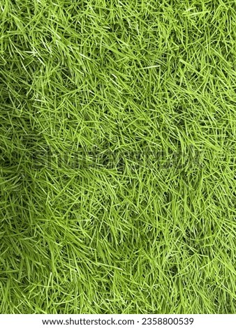 texture of green grass picture 