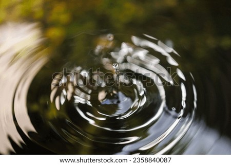 A water drop splashing in a pond surface