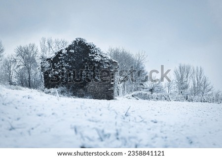 A quaint, old cabin is pictured covered by evergreen leaves in a winter scene