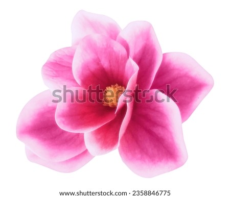 BEAUTIFUL FLOWER WITH BIG PINK PETALS Royalty-Free Stock Photo #2358846775