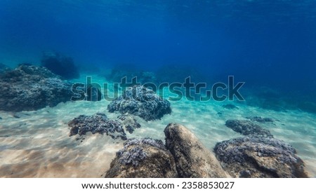 Deep blue underwater rocky sea bed