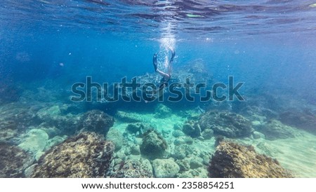 Diver snorkeling - exploring the sea bed