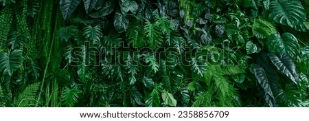 Jungle green leaf background texture