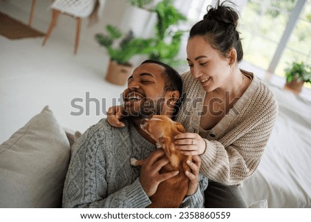 Positive multiethnic couple in warm sweaters playing with chihuahua dog on armchair at home Royalty-Free Stock Photo #2358860559