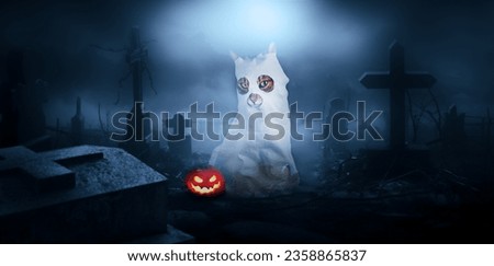 Cat in a ghost costume in a cemetery at night. Halloween background.