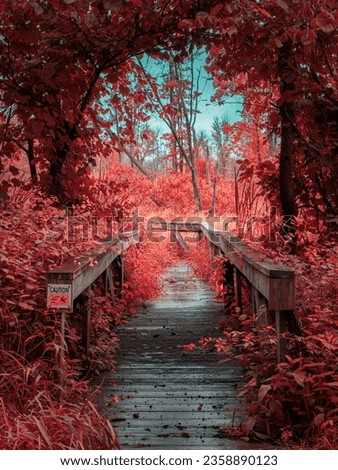 heavily edit photo of a boardwalk trail while hiking 