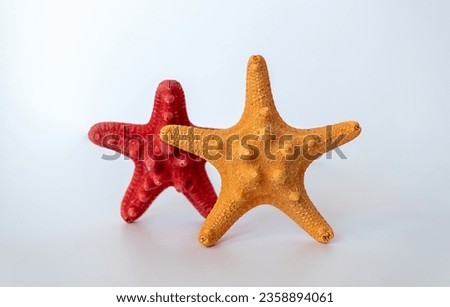 Starfish on a white background, Two starfish isolated on white background