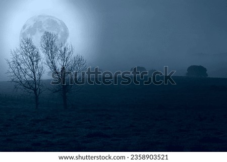 Alentejo plain in a misty full moon night in the beginning of spring