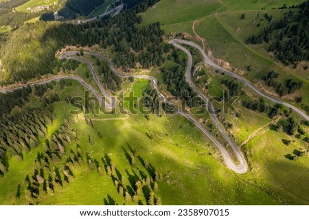 curvy roads and unique forest scenery, Artvin, Turkey