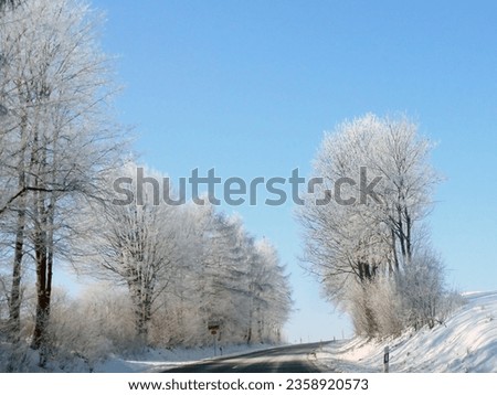 A snowy asphalt road outside the city in perspective between frozen trees against a clear blue sky. A fabulous winter landscape