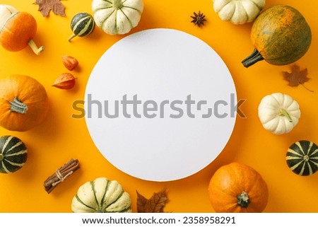 Thanksgiving tableau concept: Top-view photo of pumpkins, pattipans, maple leaves, anise, and cinnamon sticks. Physalis flowers enhance orange setting, providing open circle for text or promo content