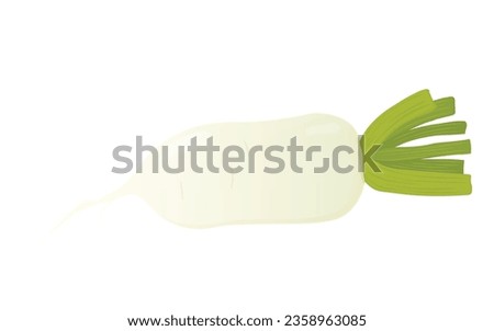 daikon. white radish. Vector stock illustration. Vegetable Japanese Chinese Korean cooking , tonic jino korean, A root vegetable with leaves. isolated on white background. Royalty-Free Stock Photo #2358963085