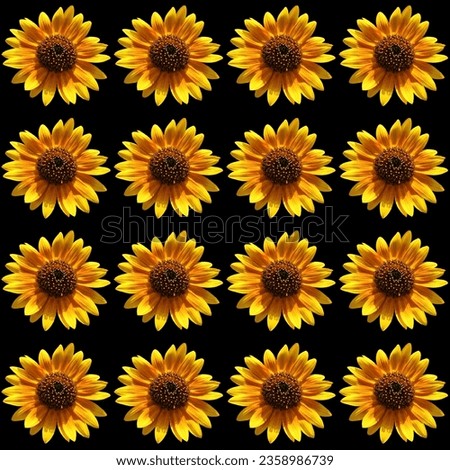 Bright Yellow Sunflower Repeated On Black Background Seamless