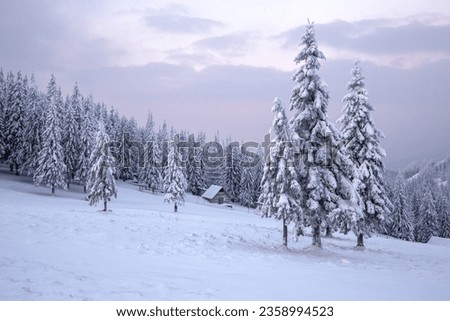 Lawn and forest. Old wooden forester's house on the meadow covered with snow. Landscape on winter day. Snowy background. Christmas wonderland. Nature scenery. Royalty-Free Stock Photo #2358994523