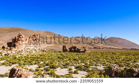 Beautiful rock formations surrounded by green plants in the Bolivian desert.