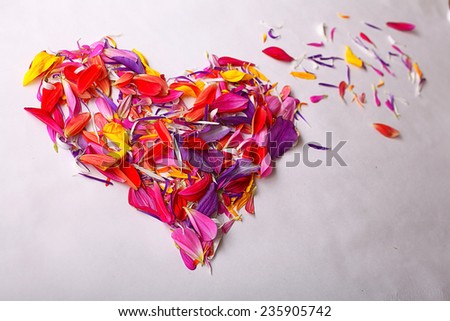 heart of flower petals flying