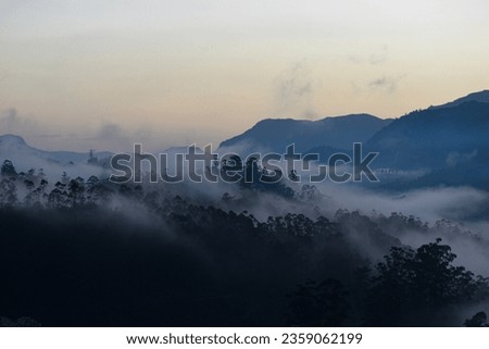 A picture of foggy mountains at dawn in Munnar, Kerala, India