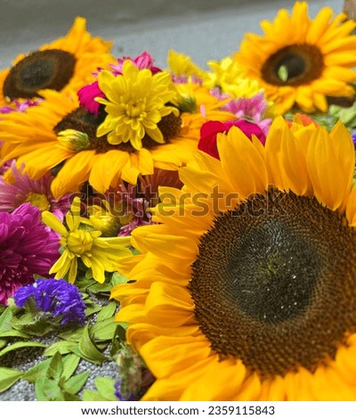Picture of colourful flowers for any occasion 