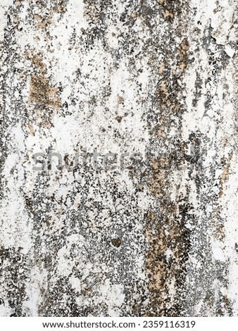 Image of an old white concrete wall
Can be used as wallpaper
Use it as a decorative element to make the picture look old.