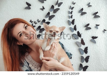 Adult lovely woman holding her doggy Chihuahua at wall with butterflies at home, looking at camera. Funny Chihuahua dog in hands of lady. Concept of pet love and family friendship. Copy ad text space