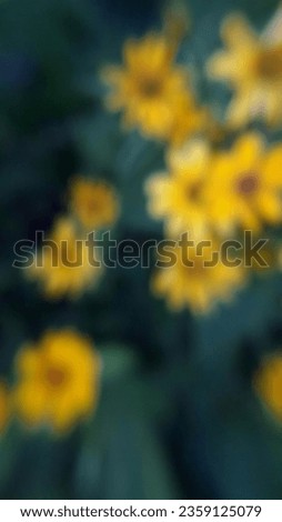 Yellow flowers,blurred image,yellow on black background,abstract nature