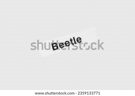 Beetle in English vocabulary language heading and word title and meaning with reference to British wildlife and countryside
