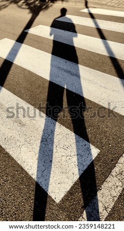 The human shadow projected on the pedestrian crossings of the road
