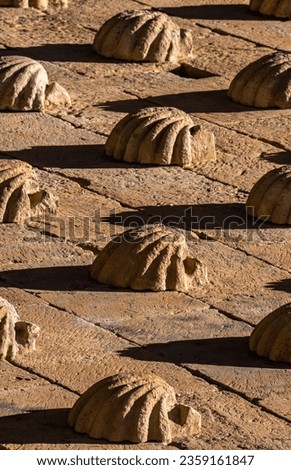 Macro detail of low-relief shell moldings sculpted in orange granite rock with their shadows stretched horizontally by the afternoon sun on the facade of La Casa de las Conchas in Salamanca, Spain.