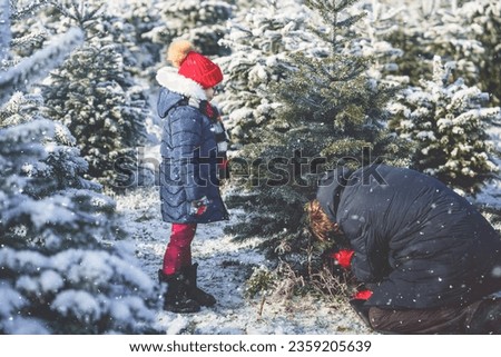 Happy little girl and dad felling Christmas tree. Preschool child with father, young man on fir cutting plantation. Family choose, cut and fell own xmas tree in forest. Germany tradition