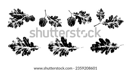 Oak Leaf stamp print ser. Grunge autumn leaves imprints. Ink floral texture. Objects isolated on white. Black and white vector illustration. Royalty-Free Stock Photo #2359208601