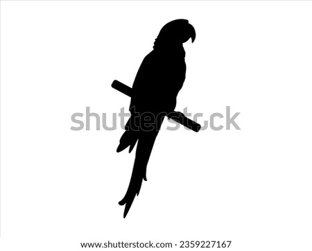 Macaw bird silhouette vector art white background  Royalty-Free Stock Photo #2359227167