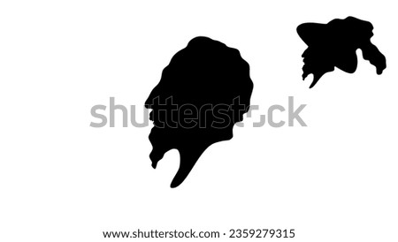 Gustavus Adolphus silhouette, high quality vector