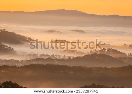 Magical light and a beautiful morning, the sun shines through the mist on the hills and pine trees, creating unique fingerprints of the Da Lat region, yellow lights, wonderful scenery. 