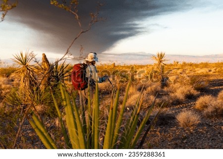 Kristen McCarty, Center for Environmental Management of Military Lands wildlife biologist, surveys for signs of the Mojave desert tortoise at Nellis Air Force Base, Nevada, Sept. 13, 2021.  Royalty-Free Stock Photo #2359288361