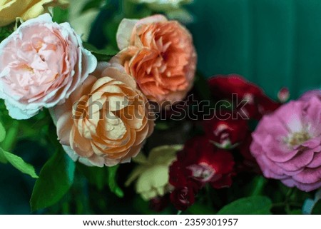 Stylish flowers close-up roses on a dark background, bright wallpaper for a smartphone, laptop, cover for printing and posters. High quality photo
