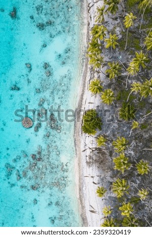 Aerial drone shot of a tropical island in French Polynesia with beaches and palm trees  Royalty-Free Stock Photo #2359320419