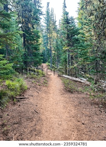 Limited entry area in the Three Sisters Wilderness of Oregon. The Obsidian Trail connects with the Pacific Crest Trail in Central Oregon. Royalty-Free Stock Photo #2359324781