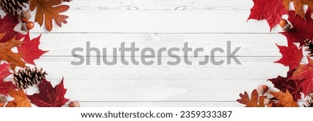 Colorful autumn leaves, nuts and pine cones. Double border over a white wood banner background. Above view with copy space.