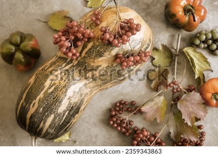 Large ripe pumpkin and viburnum berries on the table