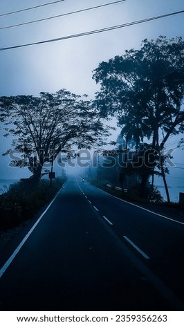 Foggy morning in a state of kerela 