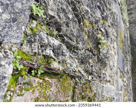 Walls of old celtic caves of a Blarney castle in Ireland, rocks and mountains background